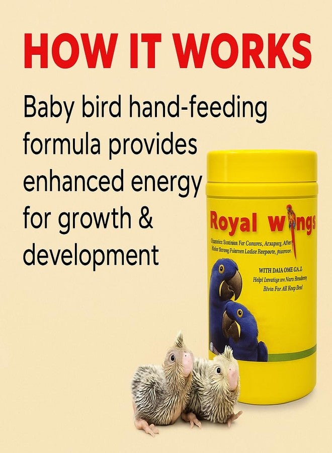 VAYINATO Royal Wings Baby Birds Hand Feeding Formula (500G) with Hand Feeding Syringe DHA Omega-3 | Complete Nutrition for Conures, Amazons, African Greys, Indian Ringneck Parakeets, Love Birds & Cockatiels - Image 5
